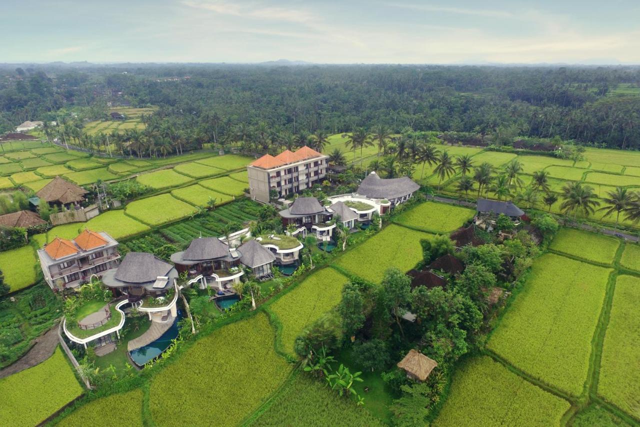 Mango Ubud 외부 사진